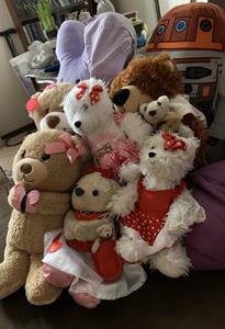 Teddy