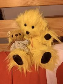 Teddy