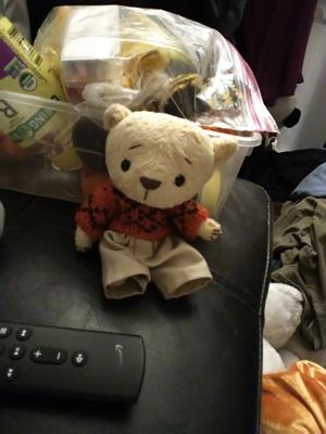 Teddy