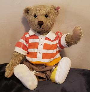 Teddy