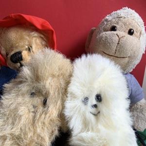Teddy