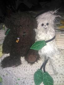 Teddy