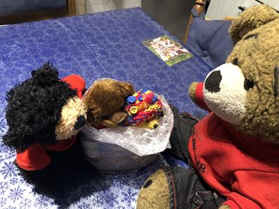 Teddy
