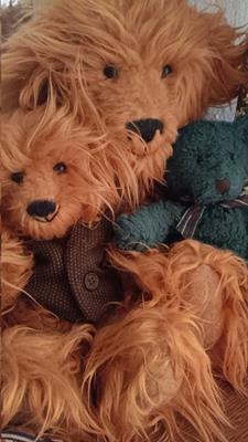 Teddy