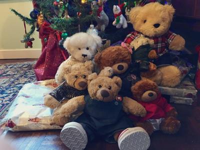 Teddy