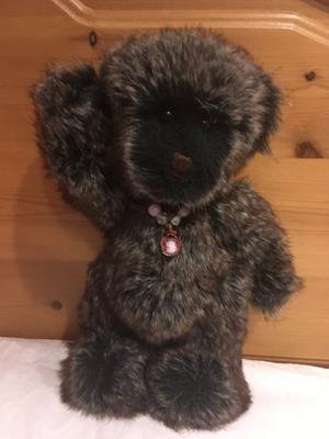 Teddy