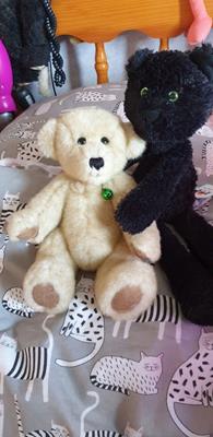 Teddy