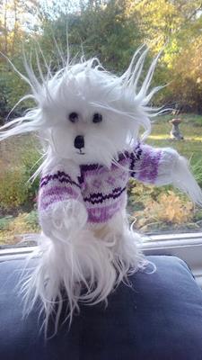 Teddy