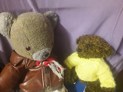 Teddy