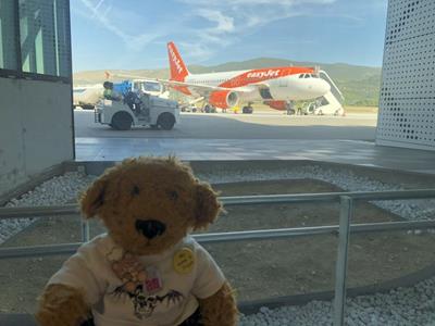 Teddy