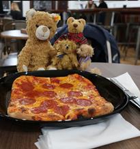 Teddy
