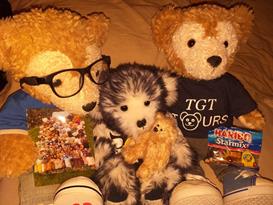 Teddy