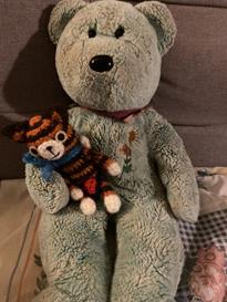 Teddy