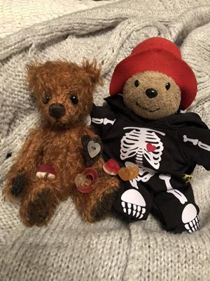 Teddy