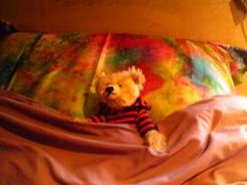 Teddy