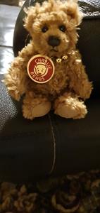 Teddy