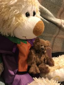 Teddy