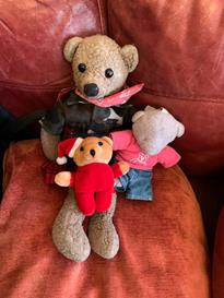 Teddy