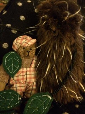 Teddy