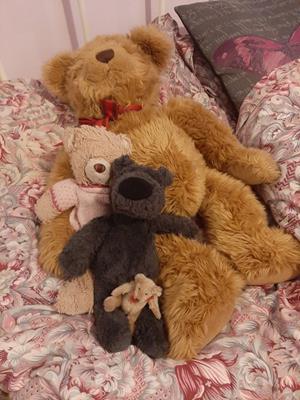 Teddy