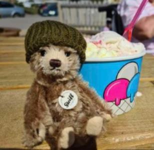 Teddy