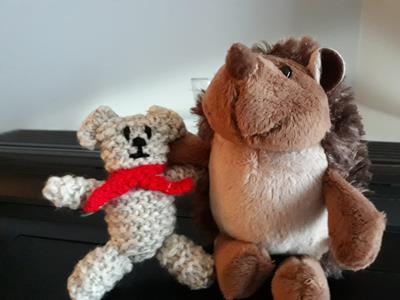 Teddy