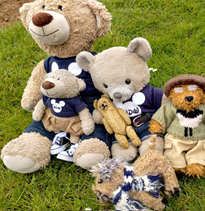 Teddy