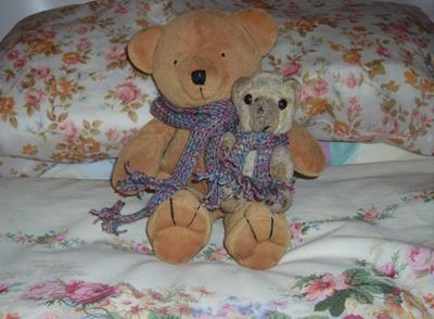 Teddy