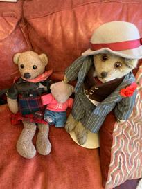 Teddy