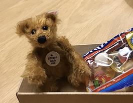 Teddy