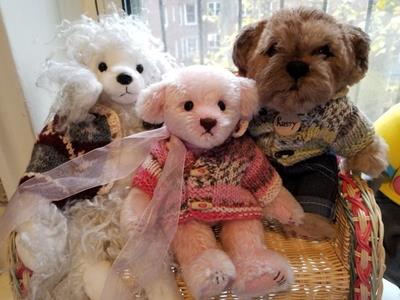 Teddy