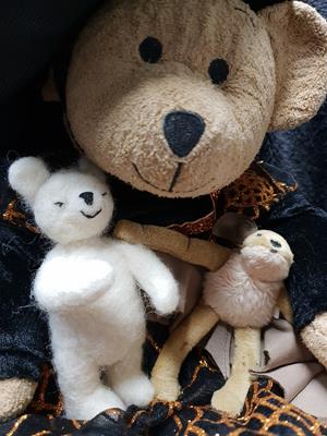 Teddy