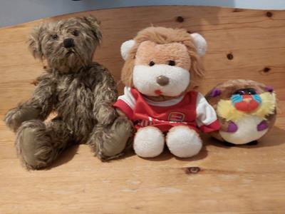 Teddy