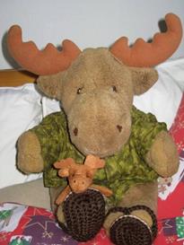 Teddy