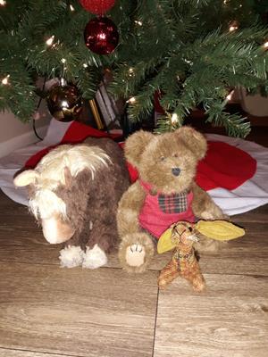Teddy