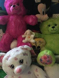 Teddy