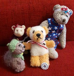 Teddy