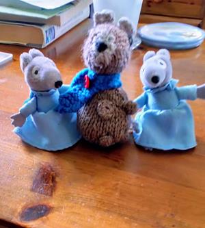 Teddy