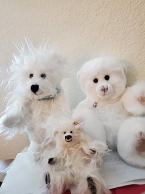 Teddy