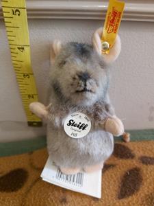 Teddy