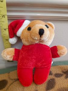 Teddy