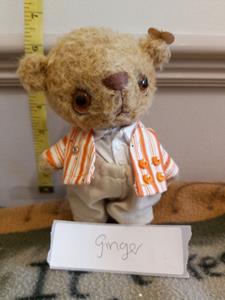 Teddy
