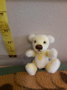 Teddy