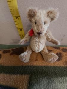 Teddy