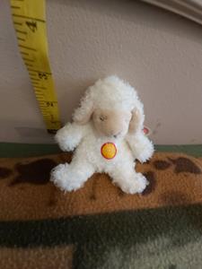 Teddy
