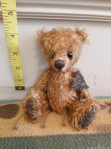 Teddy