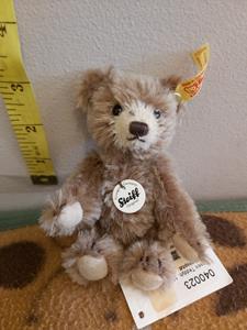 Teddy