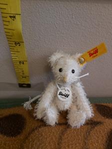 Teddy