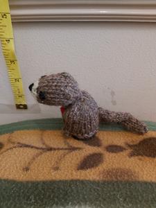 Teddy