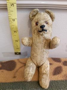Teddy